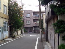 コーギ駒込への道